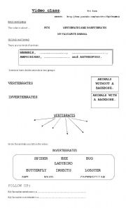 English Worksheet: vertebrate and invertebrate animals