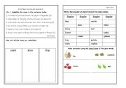 English Worksheet: singular and plural