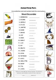 English Worksheet: Animal Body Parts