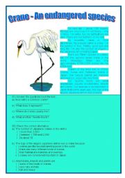 English worksheet: CRANE