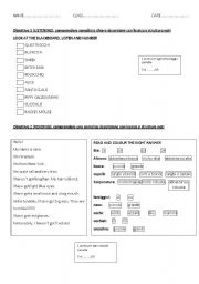 English Worksheet: text about physical caracteristics