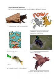 English Worksheet: Animal idioms and expressipon
