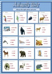 English Worksheet: animals quiz(editable)