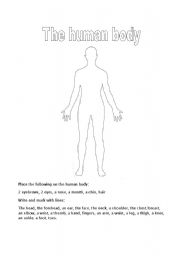 English Worksheet: The human body gets named and dressed