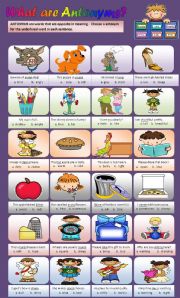 English Worksheet: Antonyms