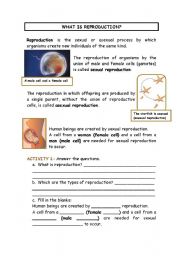 English Worksheet: ****Science Unit ****What is reproduction? 4th grade part 2/4