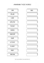 English Worksheet: anagram