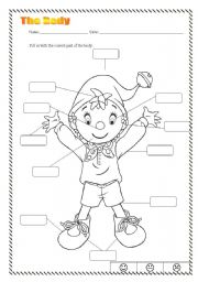 English Worksheet: The body