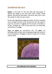 English Worksheet: ****Science Unit ****What is reproduction? 4th grade part 4/4