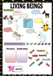 English Worksheet: ANIMALS -LIVING BEINGS