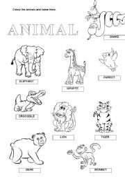 English Worksheet: wild animals