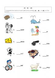 English worksheet: ch-sh-wh worksheet