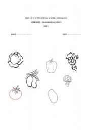 English Worksheet: colour the vegetables
