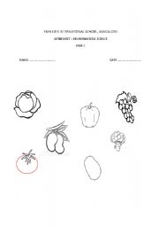 English worksheet: colour the vegetables