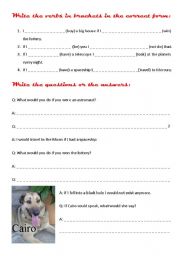 English worksheet: 2nd conditional