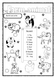 English Worksheet: Farm animals