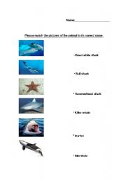 English worksheet: Ocean animals matching