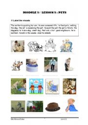 English Worksheet: pets 