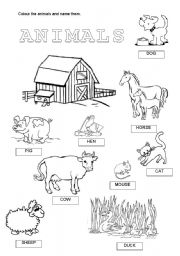 DOMESTIC ANIMALS