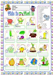 English Worksheet: Beginners 