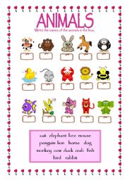 English Worksheet: FUNNY ANIMALS