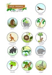 English Worksheet: wild animals