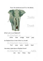 English worksheet: Elephants