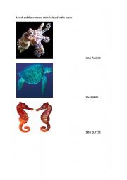 English worksheet: Ocean animals