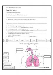 English Worksheet: respiratory system