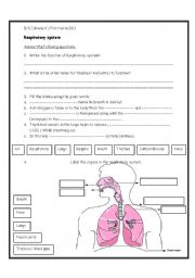 respiratory system