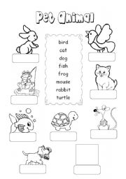 English Worksheet: Pet Animal