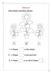 English Worksheet: lengths