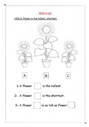 English worksheet: lengths