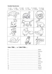 English Worksheet: Pets