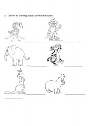 English Worksheet: animal- world