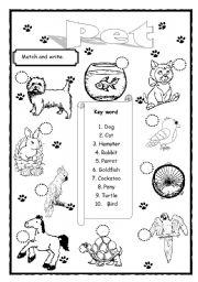 English Worksheet: Pet