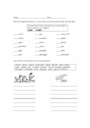 English Worksheet: Using the indefinite articles with fruits and vegetables 