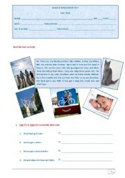 English Worksheet: Evaluation test for young learners