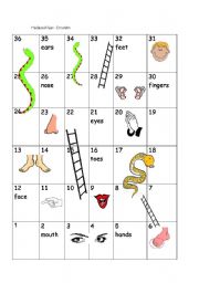 English Worksheet: parts of body