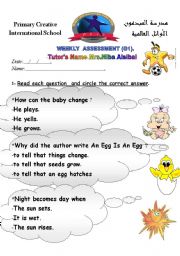 English worksheet: amazing weekly assessment