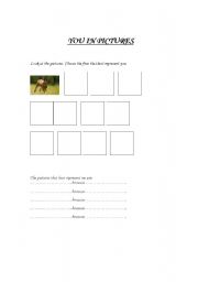 English worksheet: You in Pictures