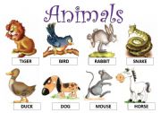 animals