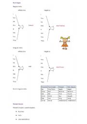 English Worksheet: verbs