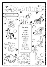 English Worksheet: Zoo Animals