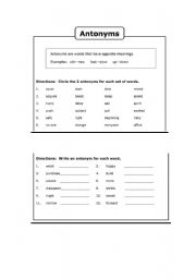 English Worksheet: Antonyms