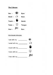 English Worksheet: The 5 Senses