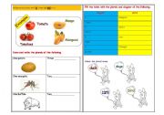 English worksheet: singular & plural nouns