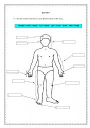 English Worksheet: PARTS OF THE BODY