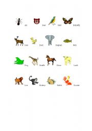 English worksheet: Animals