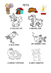 English Worksheet: Pets